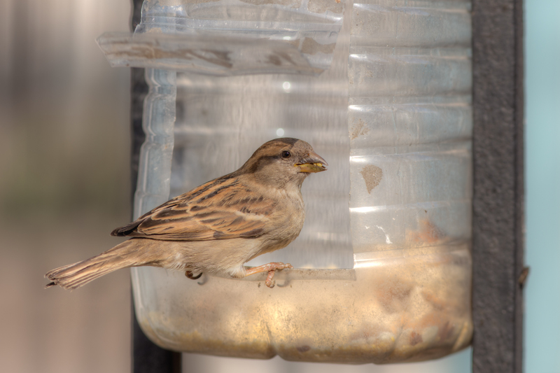 Rubbish removal waste clearance