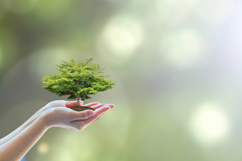 Waste operatives and office manager sorting and labelling segregated rubbish during a London clearance